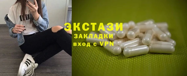 ECSTASY Богданович